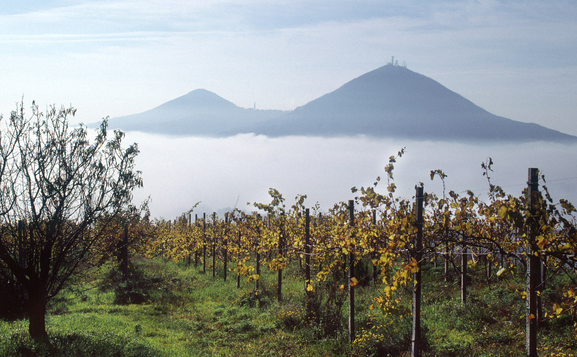 Landscape towards Colli Euganei