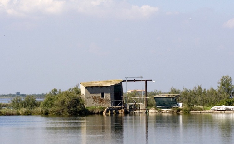 Ambiente di Rosolina Mare, Rovigo.