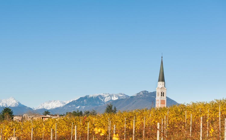 Foto di Breganze e i suoi vigneti.