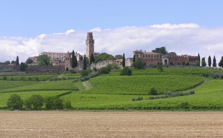Immagine panoramica del Castello di San Salvatore di Susegana.